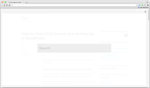 نحوه ایجاد صفحه جستجوی تمام صفحه در وردپرس